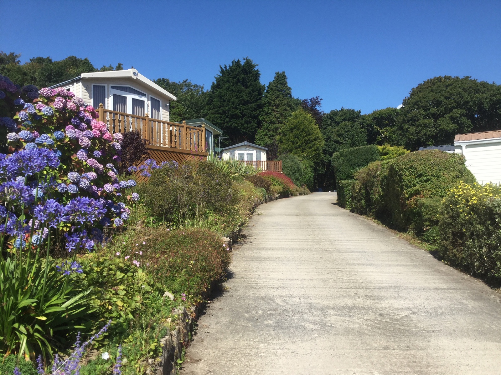 Our Park | Swallow Tree Gardens